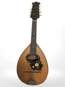 A late 19th century mandolin.