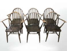 Six Ercol stained elm armchairs.