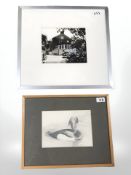 Derwent Wise (1933 - 2003) : Study of a Duck, pencil, 16 cm x 22 cm,