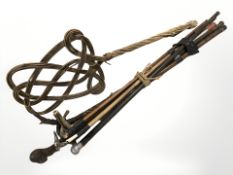 A group of sticks, walking sticks, swagger stick, carpet beater, etc.