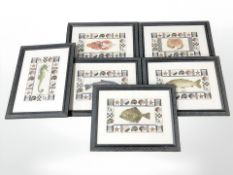 Six contemporary prints depicting fish and shellfish, each 43 cm x 33 cm.