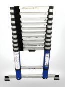 A telescopic ladder.