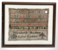 A Victorian tapestry sampler, dated 1854.