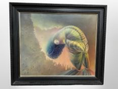 Contemporary School : Study of a shellfish, oil on canvas, 70 cm x 58 cm.