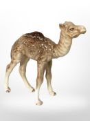 A Beswick camel,