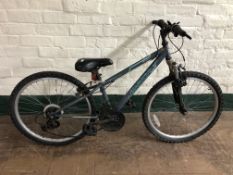 A Switch girl's Apollo bike.