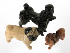 A Beswick poodle, pug and a further Royal Doulton dog, height 9.
