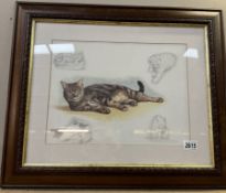 A framed & glazed picture of a cat (62cm x 53cm)