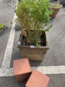 A terracotta garden pot & square terracotta tiles