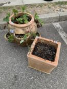 A strawberry planter & one other terracotta pot