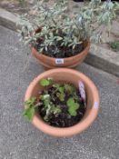 2 Circular terracotta pots