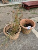 2 Circular terracotta pots