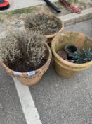 3 Large round terracotta pots