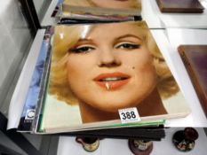 A selection of Marilyn Monroe books