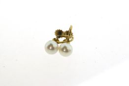 9ct Yellow Gold Screw Back Pearl Earrings.