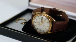 Luxury Watch Auction