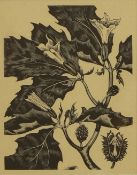 ▴ John Nash RA (1893-1977)