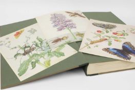 FOLIO SOCIETY, Limited Edition: