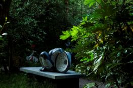 ▲ Nicolas Moreton MRSS (b.1961)