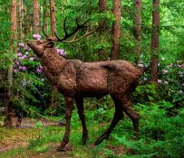 Dido Crosby MRSS (b.1961)