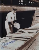 American sports stars,