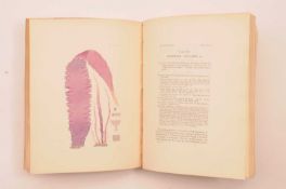 Harvey, William Henry: