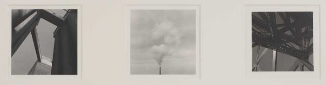 Reid Yalom (American, contemporary)