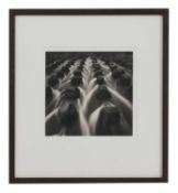 Rolfe Horn (American, b.1971)