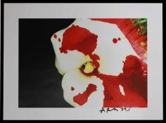 Nobuyoshi Araki (Japanese, b.1940)