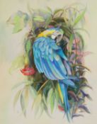 ▲ Joan Warburton (1920-1996)