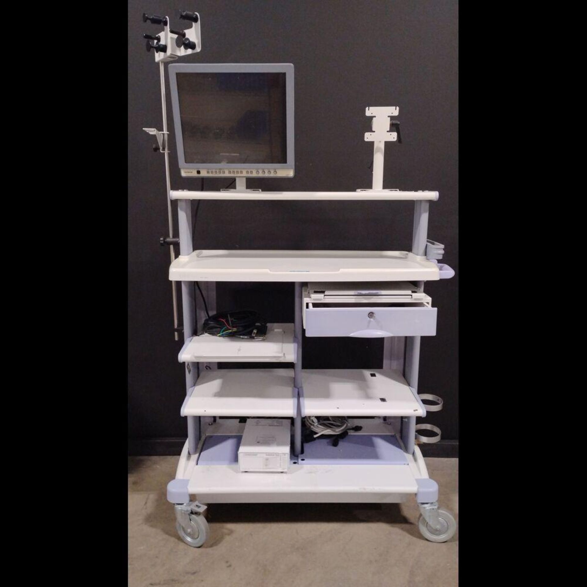 OLYMPUS OEV191H MONITOR WITH WM-D ENDOSCOPY CART