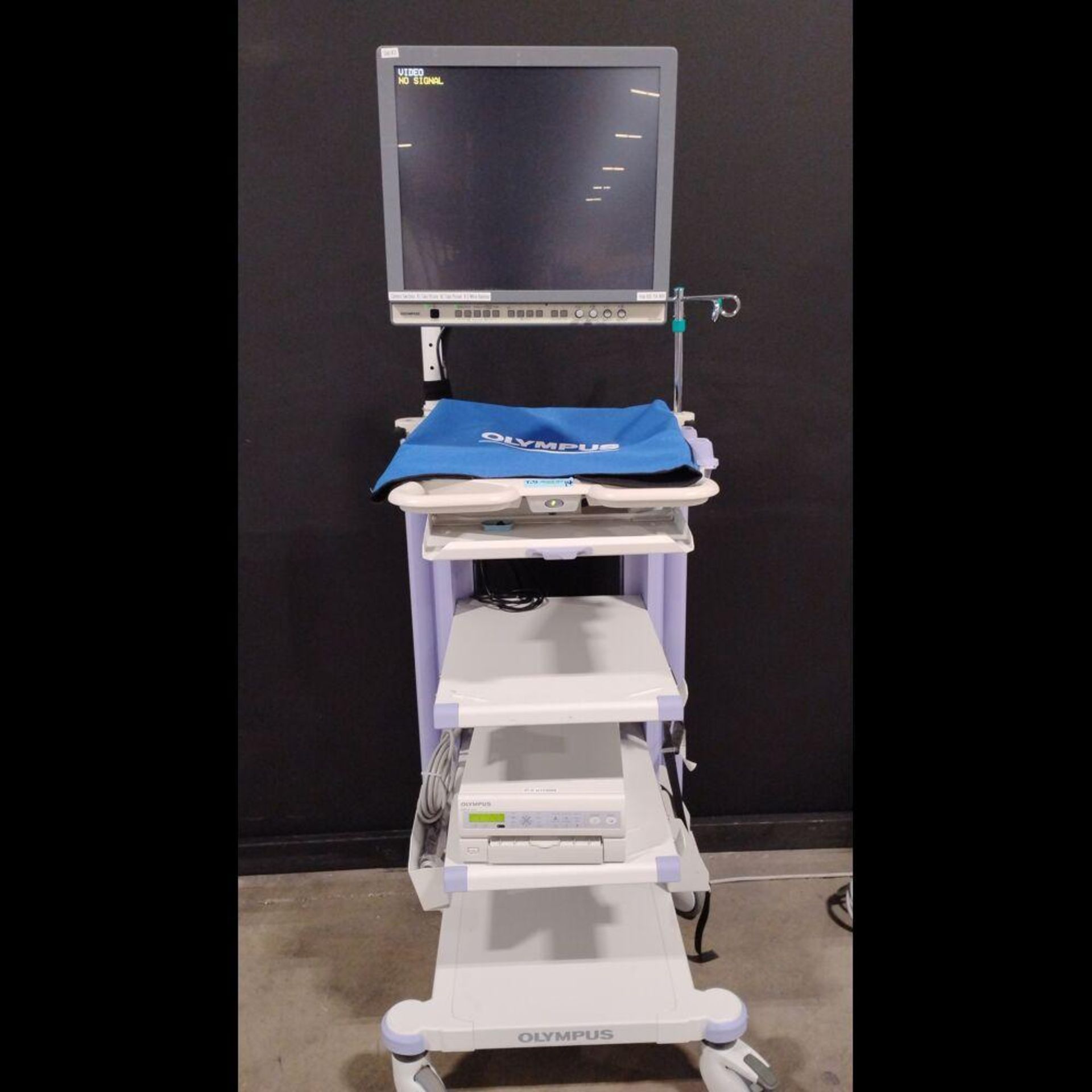 OLYMPUS OEV191H MONITOR & OEP-4 HDTV PRINTER ON WM-MP1 CART - Image 4 of 4