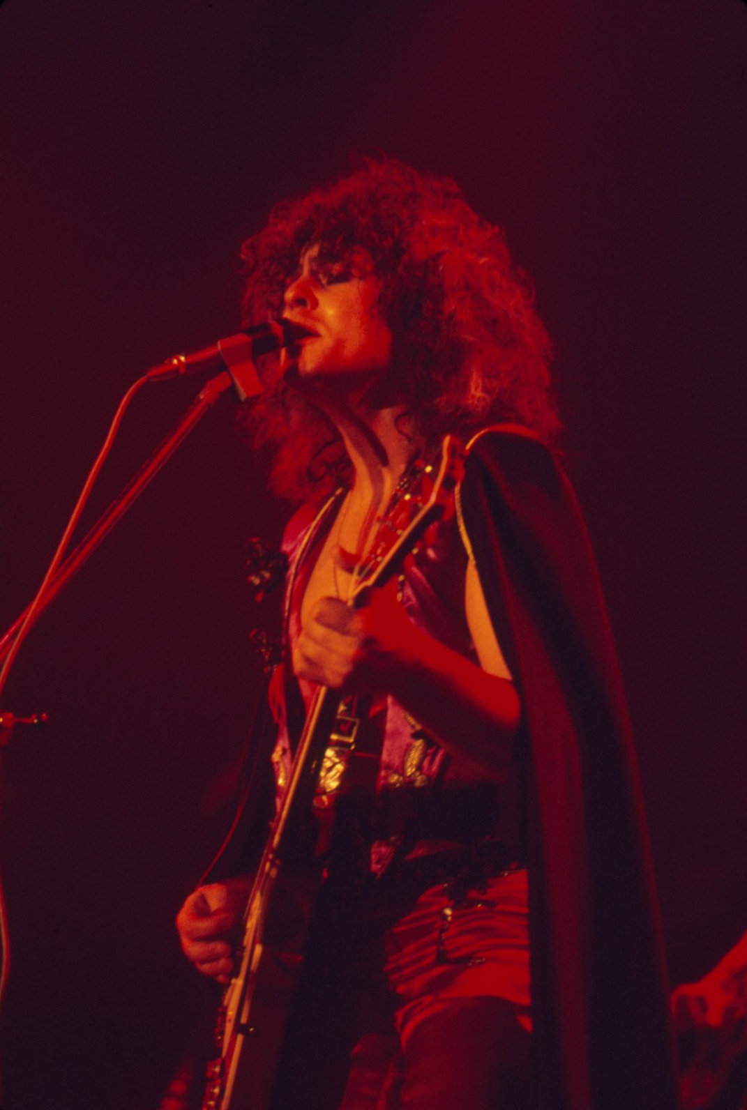 T Rex Promotional Transparencies Collection (UK) - Image 10 of 14