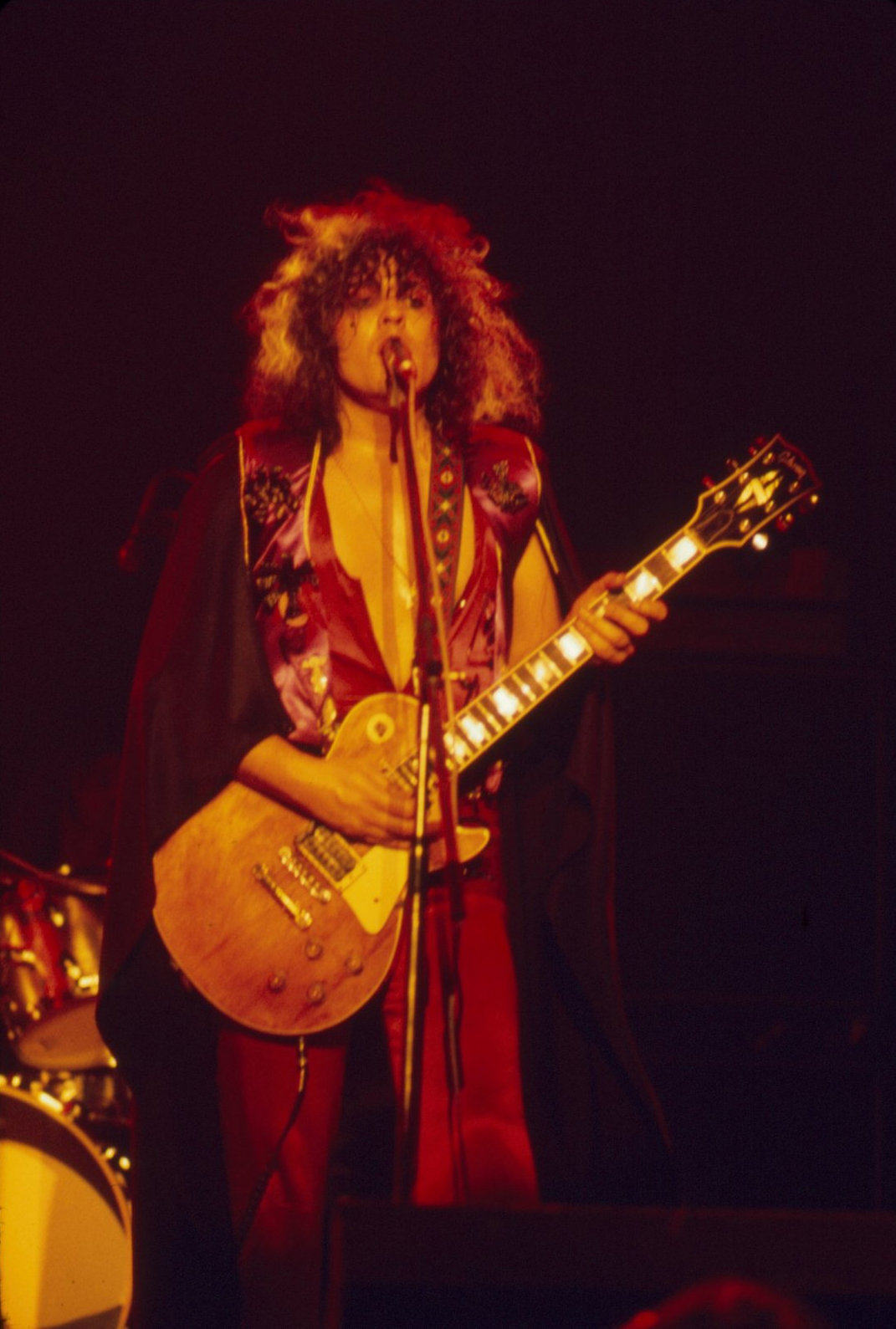 T Rex Promotional Transparencies Collection (UK) - Image 9 of 14