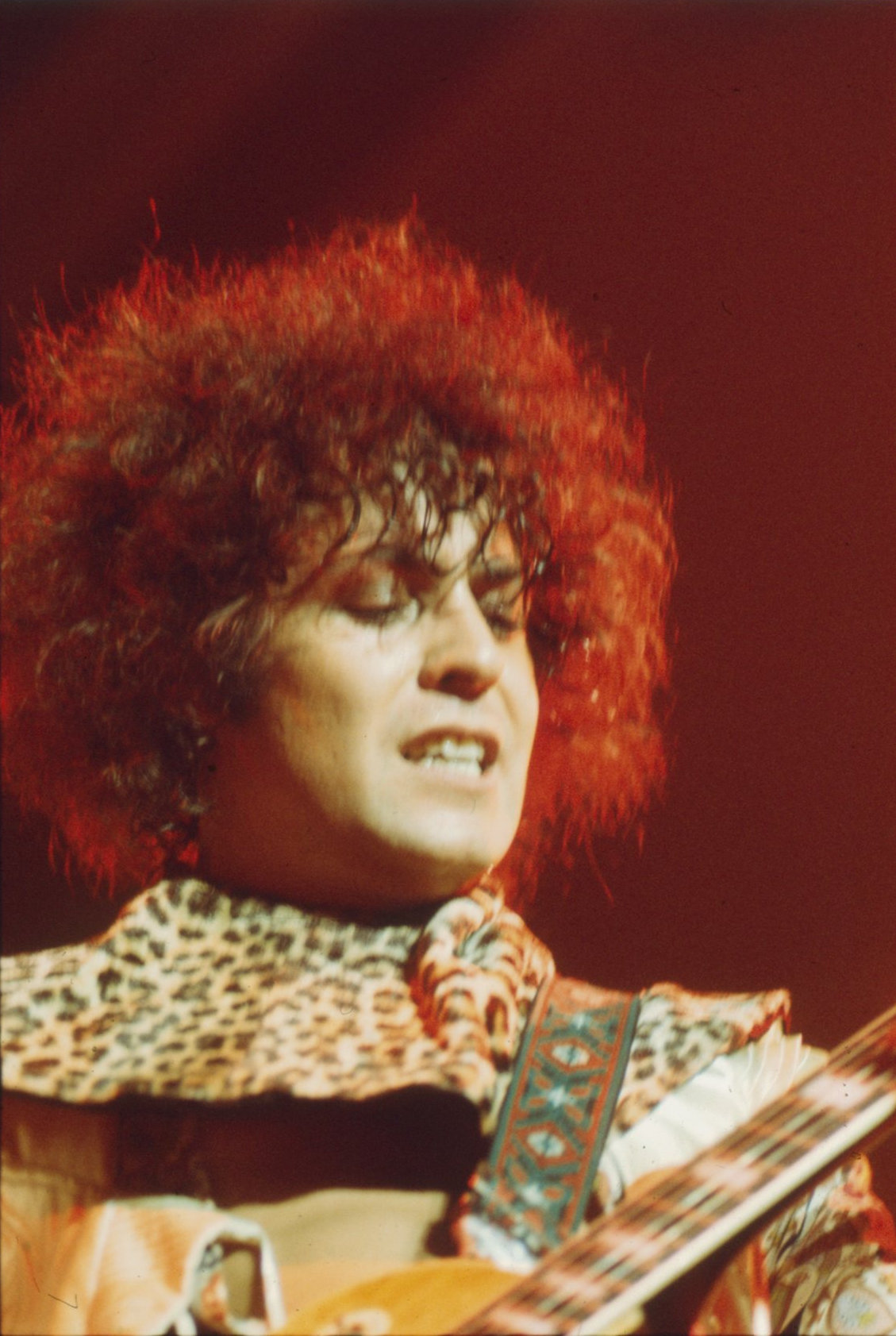 T Rex Promotional Transparencies Collection (UK) - Image 6 of 14