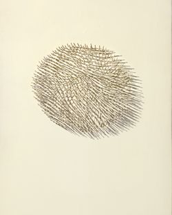 Selected Works