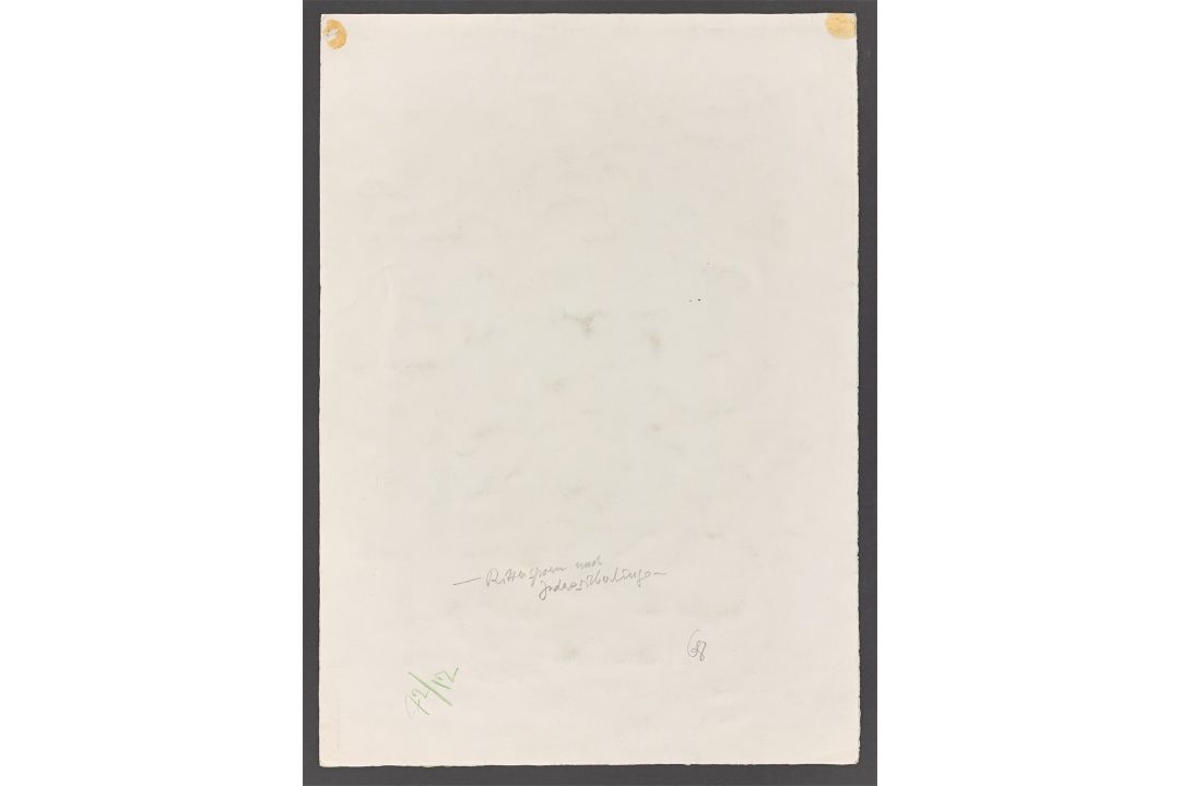 Karl Schmidt-Rottluff. „Rittersporn und Judassilberlinge“. 1968 - Bild 3 aus 3