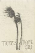 Sandra Vásquez de la Horra. ”TRISTES TROPICOS”. 2008