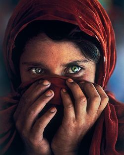 Photography Online Only, 6 – 15 December 2024