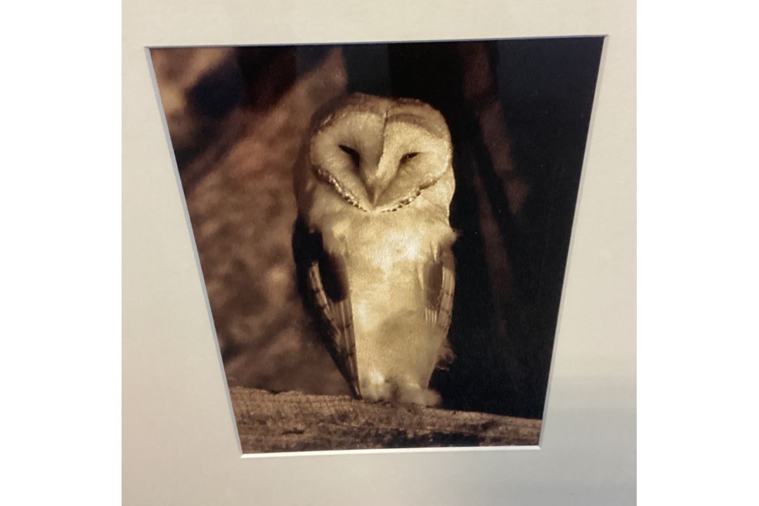NOEL CHANAN: (British, b. 1939): A framed and glazed giclée sepia print from photographic original. - Image 2 of 3