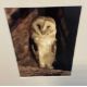 NOEL CHANAN: (British, b. 1939): A framed and glazed giclée sepia print from photographic original. - Image 2 of 3