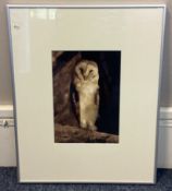NOEL CHANAN: (British, b. 1939): A framed and glazed giclée sepia print from photographic original.