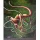 GLENN FITZPATRICK ('FITZY'): (British, b.1971): Three black framed and glazed acrylics. - Image 6 of 11