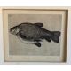 A Limited Edition book plate print entitled 'Female Tench'. - Image 2 of 2
