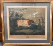 A gilt framed and glazed coloured engraving entitled 'THE DURHAM OX' depicting a man with bull.