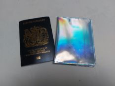 Passport Holders X 6 Irridescent