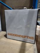 Hanging Dusplay Light Box Sourced From Luxury House Clearance