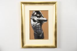 Male Study in Pastel by De Casse