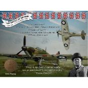 : WW2 Battle Of Britain Spitfires & Hurricane Metal Wall Art Coin Display