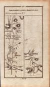 Ireland Rare Antique 1777 Map Enniscorthy Carlow Tullow Ryland Wexford.